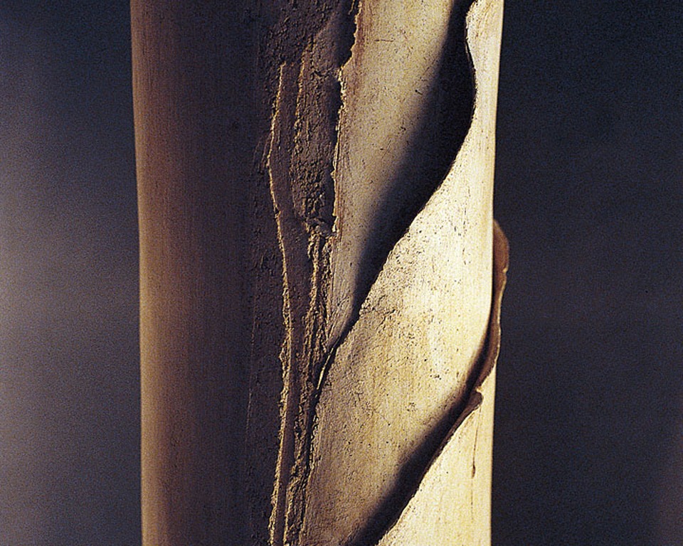 Dettagli